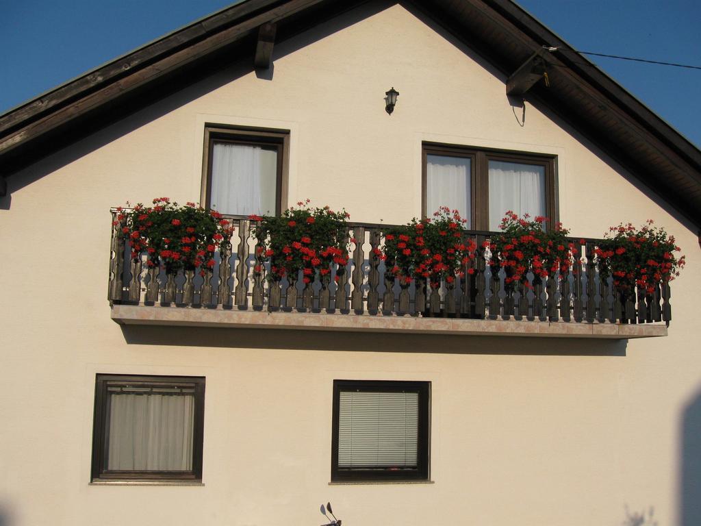 Apartments Dale Smoljanac Exteriér fotografie