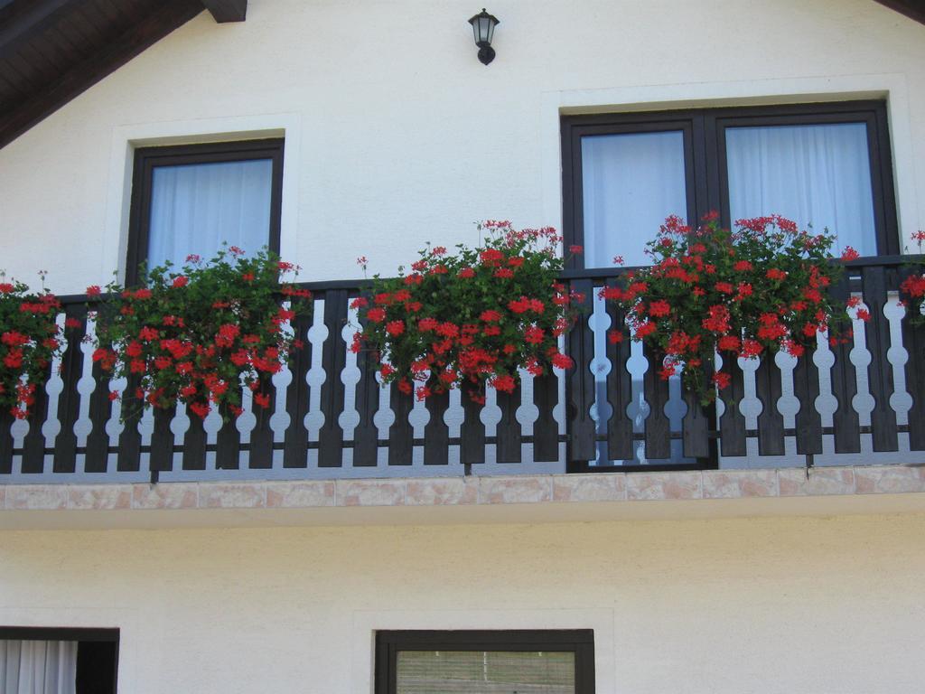 Apartments Dale Smoljanac Pokoj fotografie