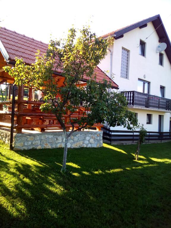 Apartments Dale Smoljanac Exteriér fotografie